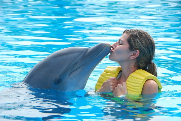 5 night "Swim with Dolphin" Adventure Package Florida