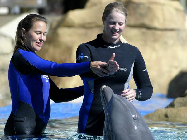 SeaWorld San Diego Trainer Experience & 5-Night 2 bedroom Del Mar Stay